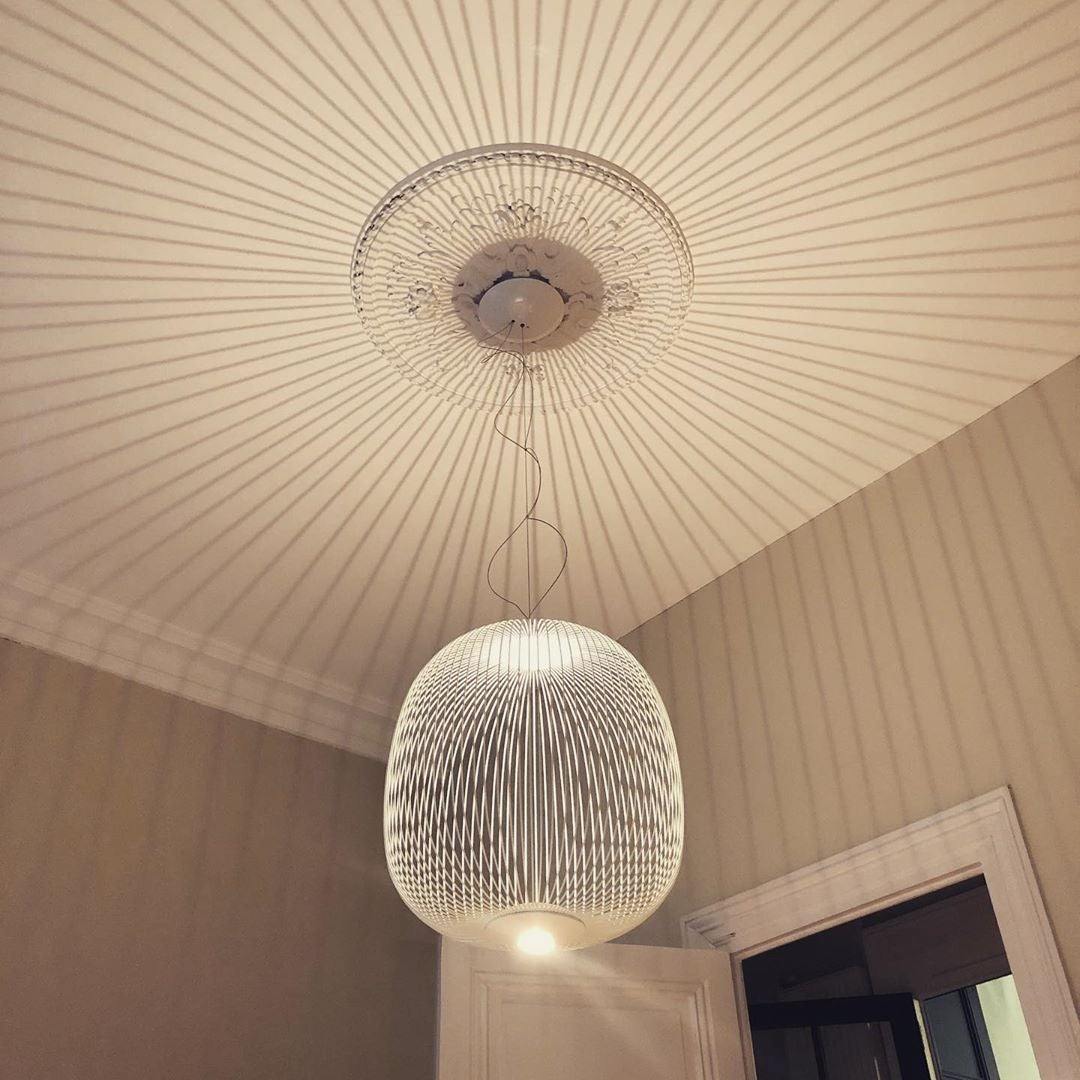 Spokes suspension lamp