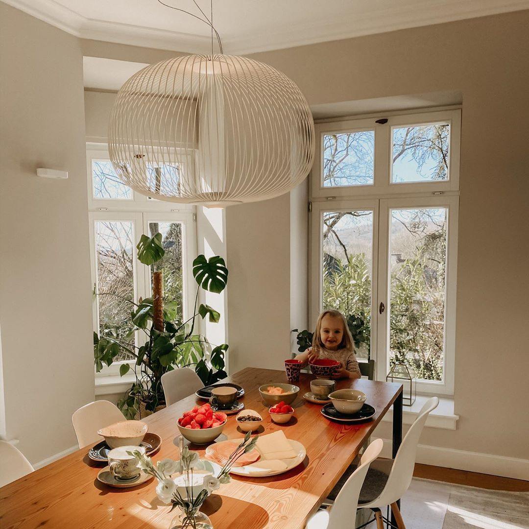Spokes suspension lamp
