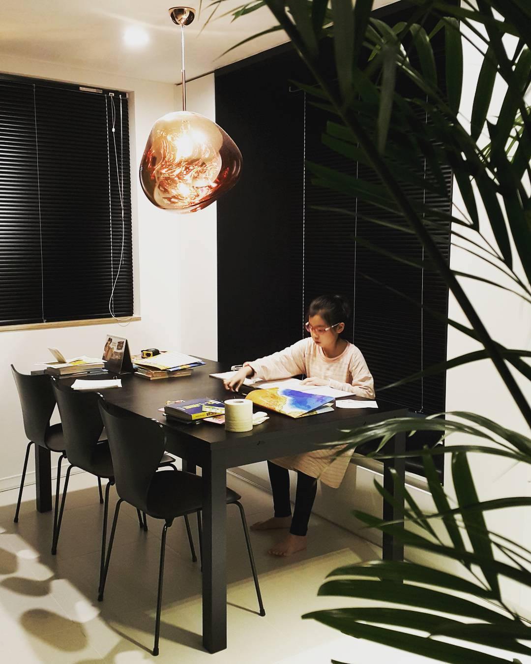 Melt pendant light system