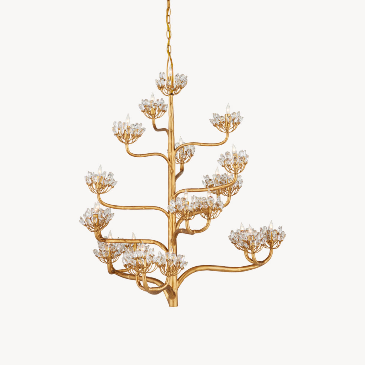 Agave Americana Chandelier