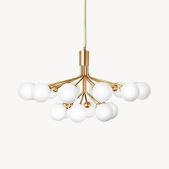 Lampadari Apiales