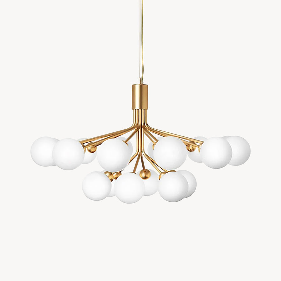 Apiales Chandeliers