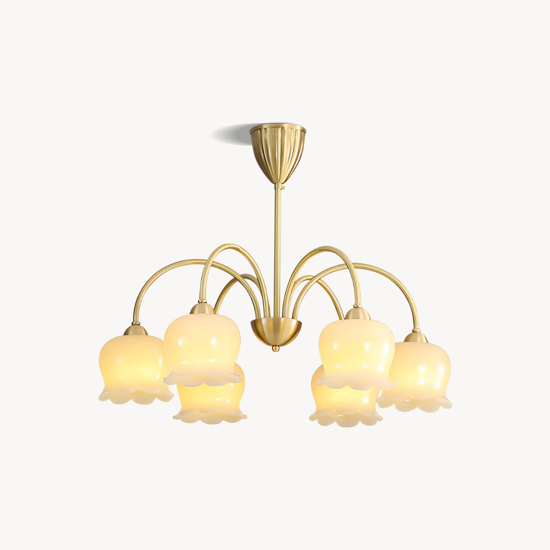 Cavella Chandelier