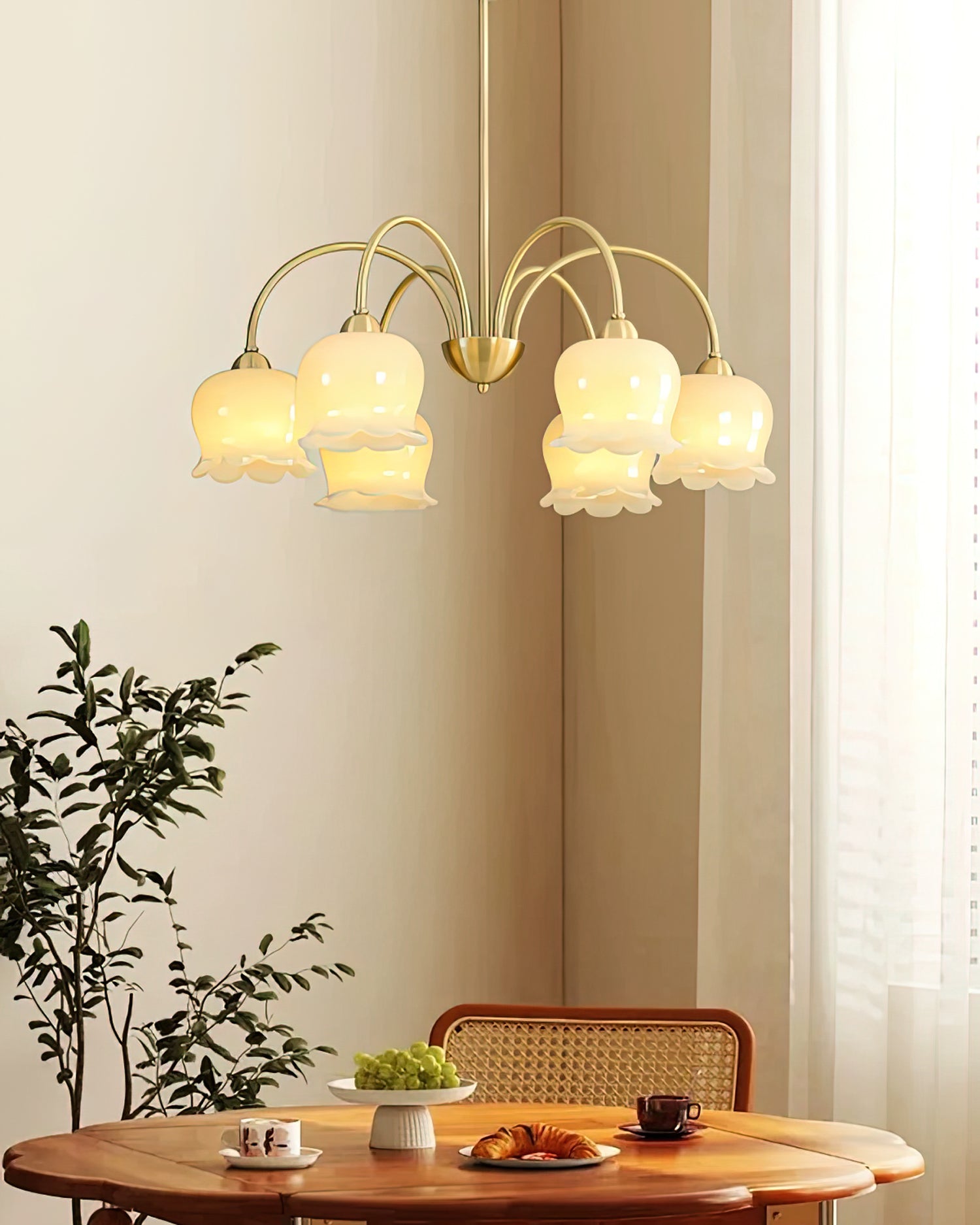 Cavella Chandelier
