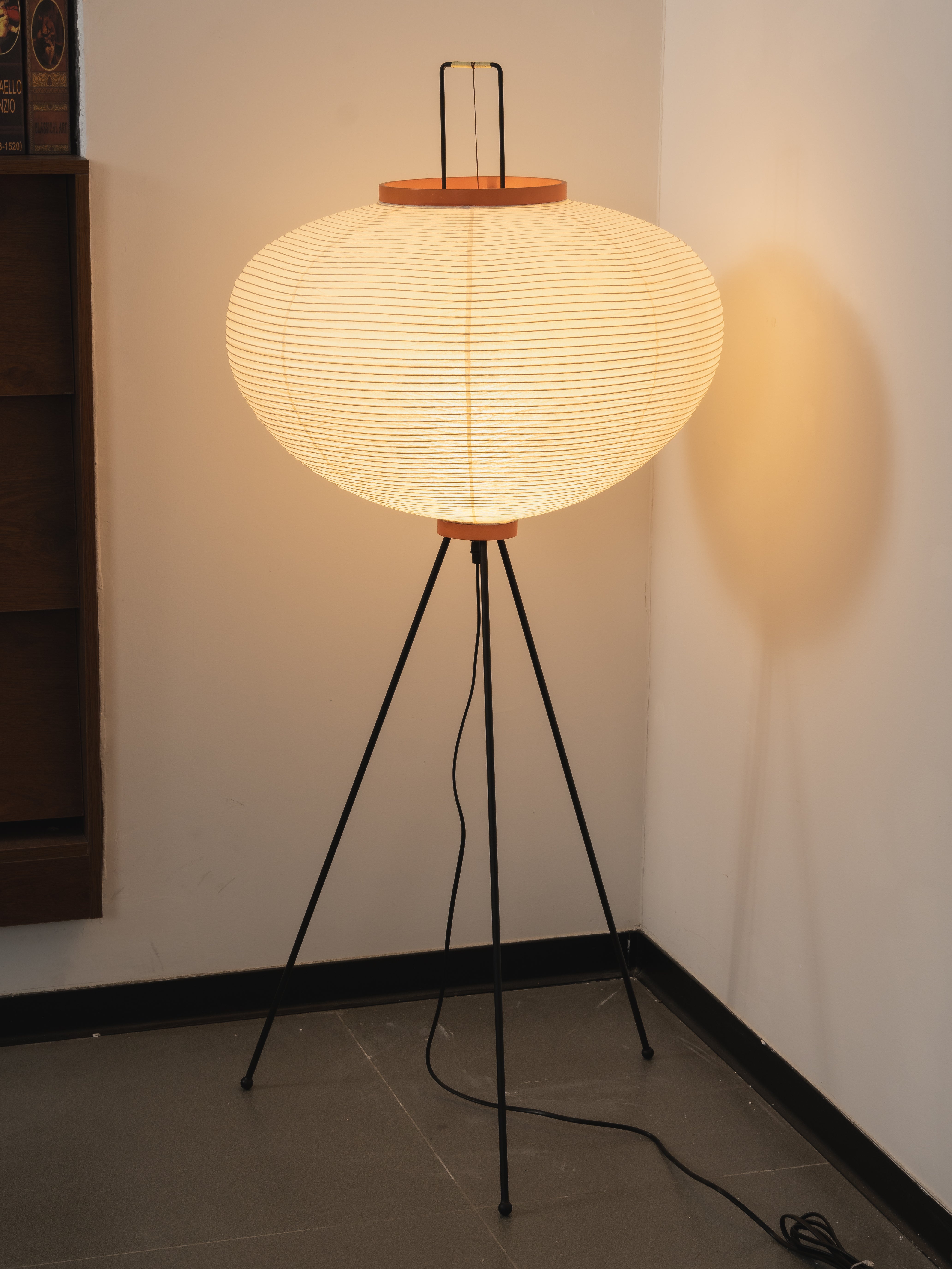 Akari Series Floor Lamp