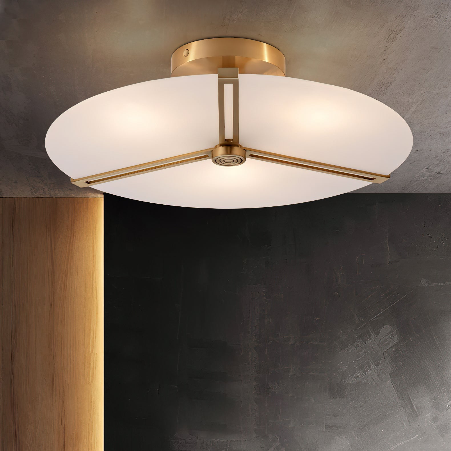 Parfco Ceiling Light