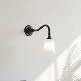 Model B ∅ 5.9″ x W 12.6″ x H 12″ ( Glass lampshade )
