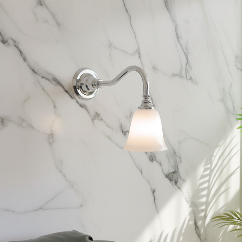 Clara Gooseneck Wall Sconce