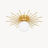 Starburst Ceiling Light