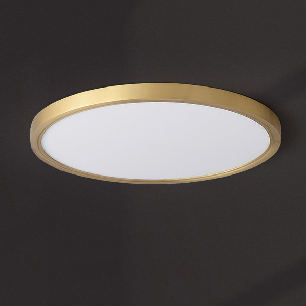Zigrina Ceiling Light