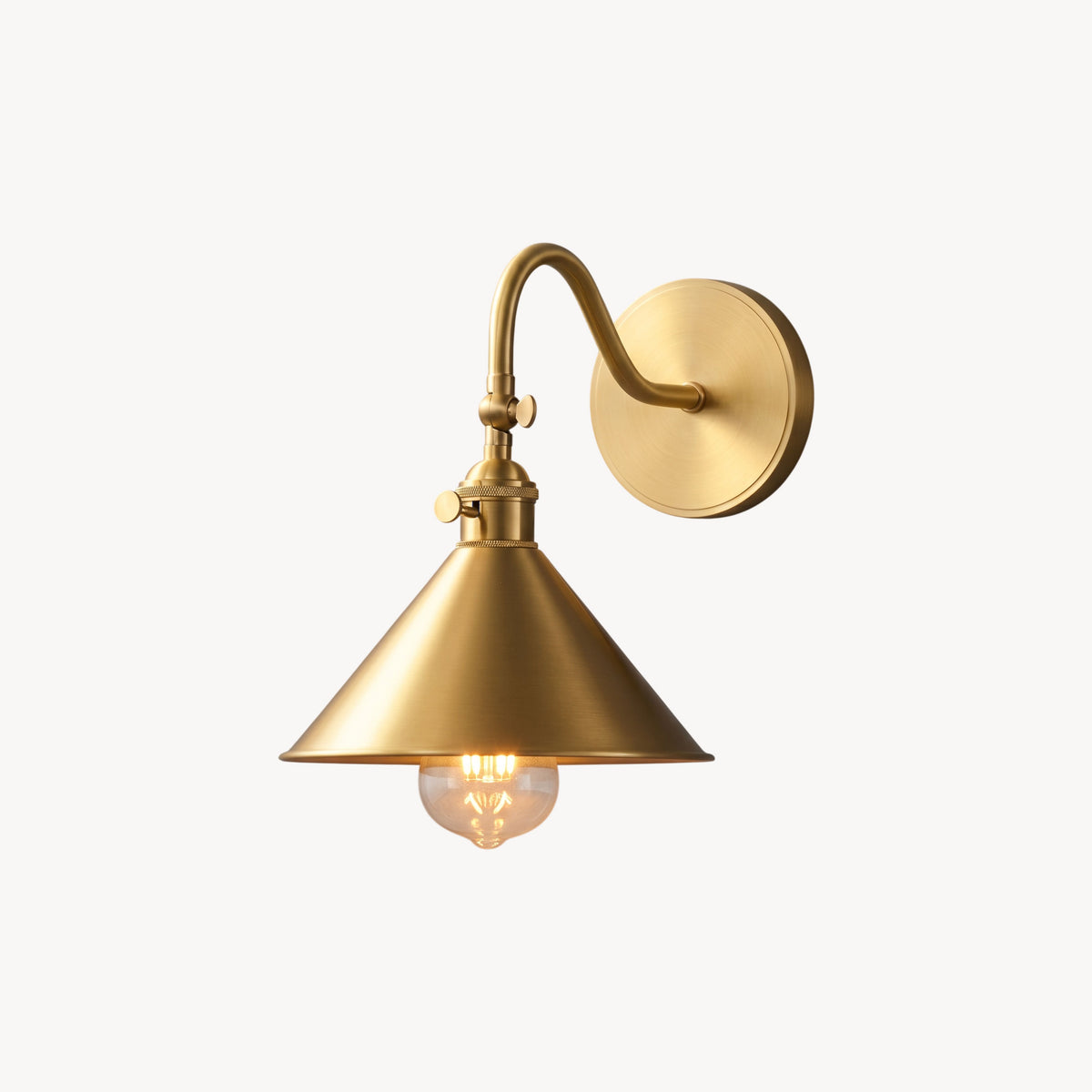 Aldous Gooseneck Wall Sconce