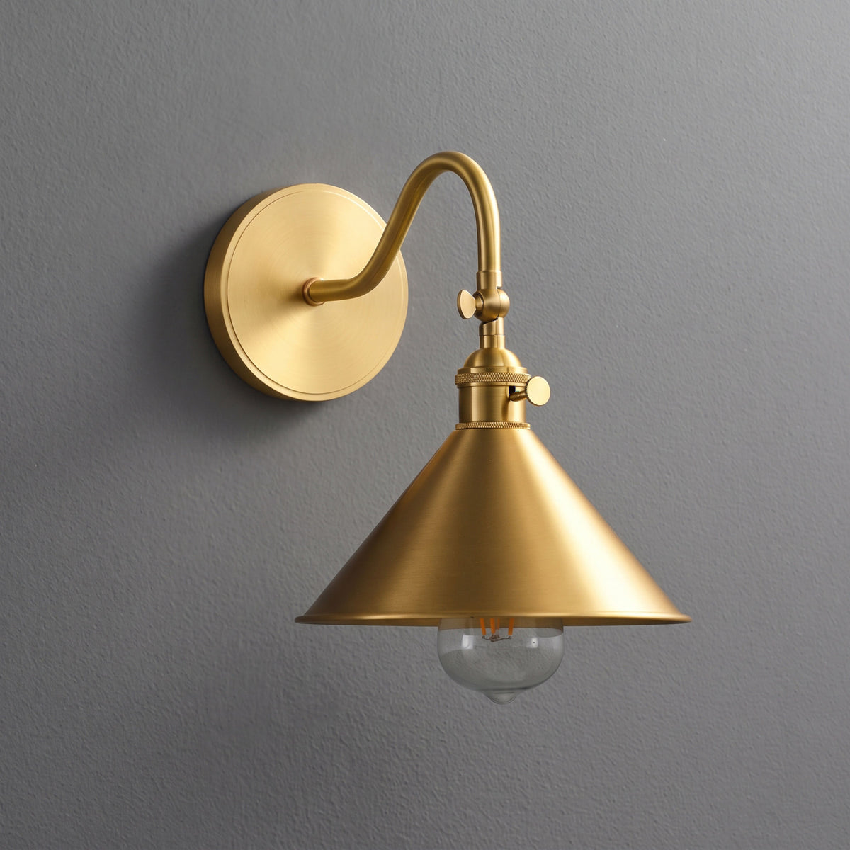 Aldous Gooseneck Wall Sconce
