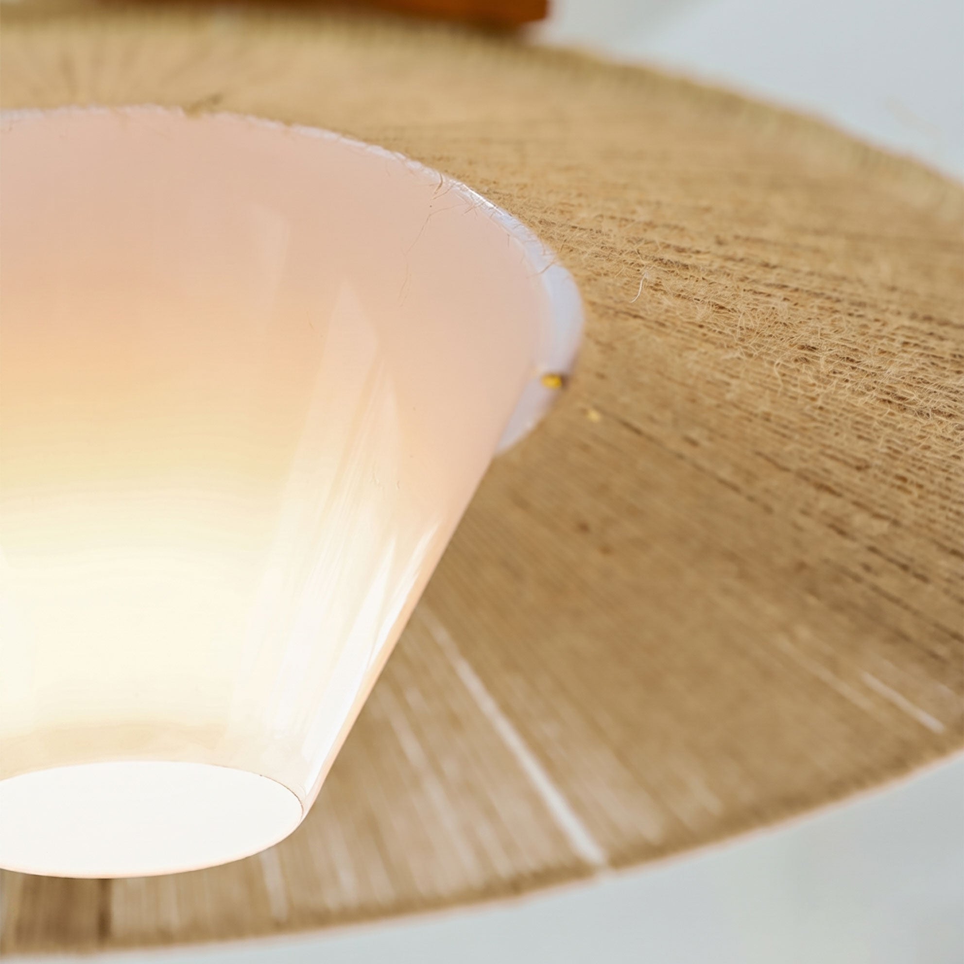 Bria Hemp Rope Pendant Light