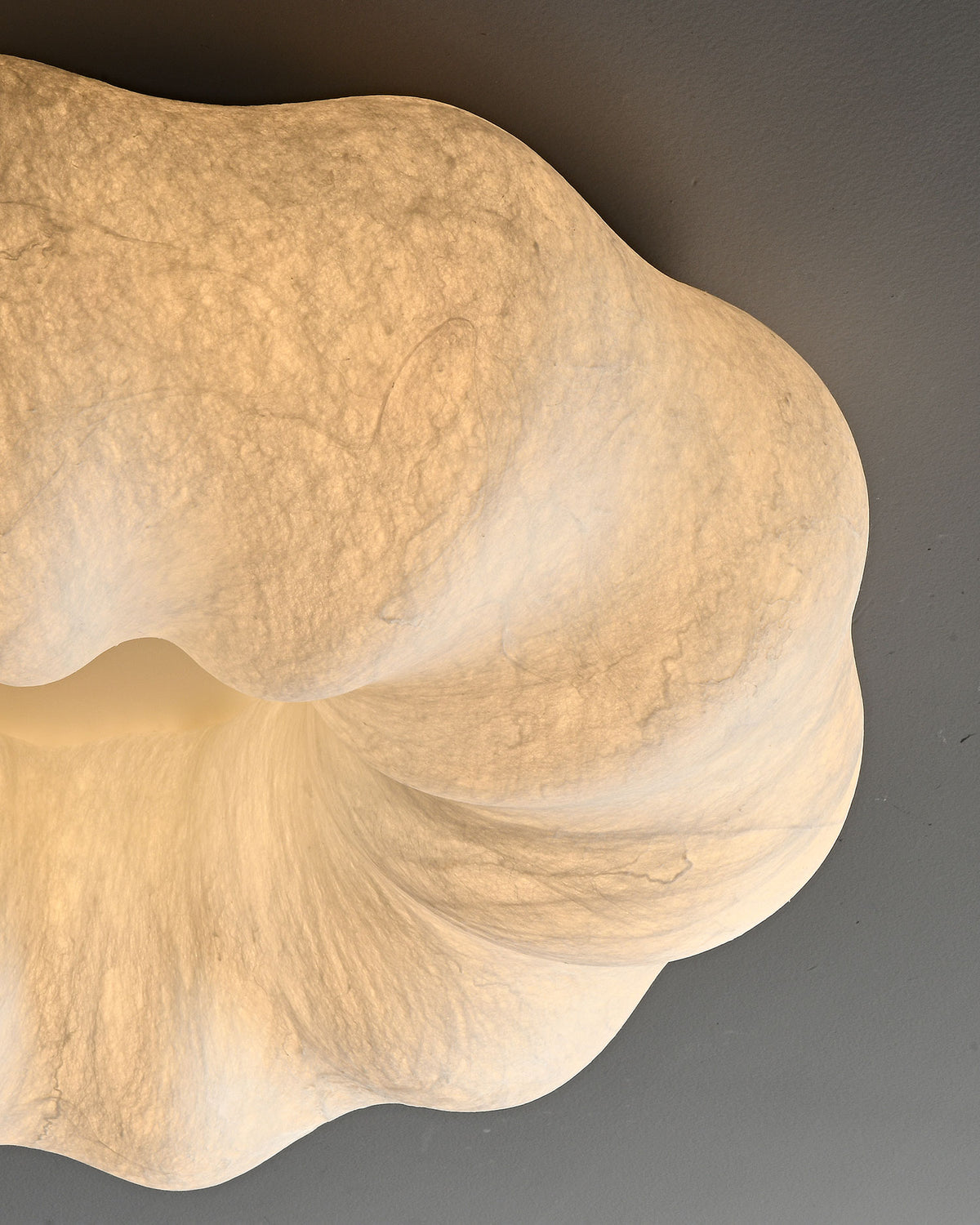 Cecily Organic Flush Mount Ceiling Light