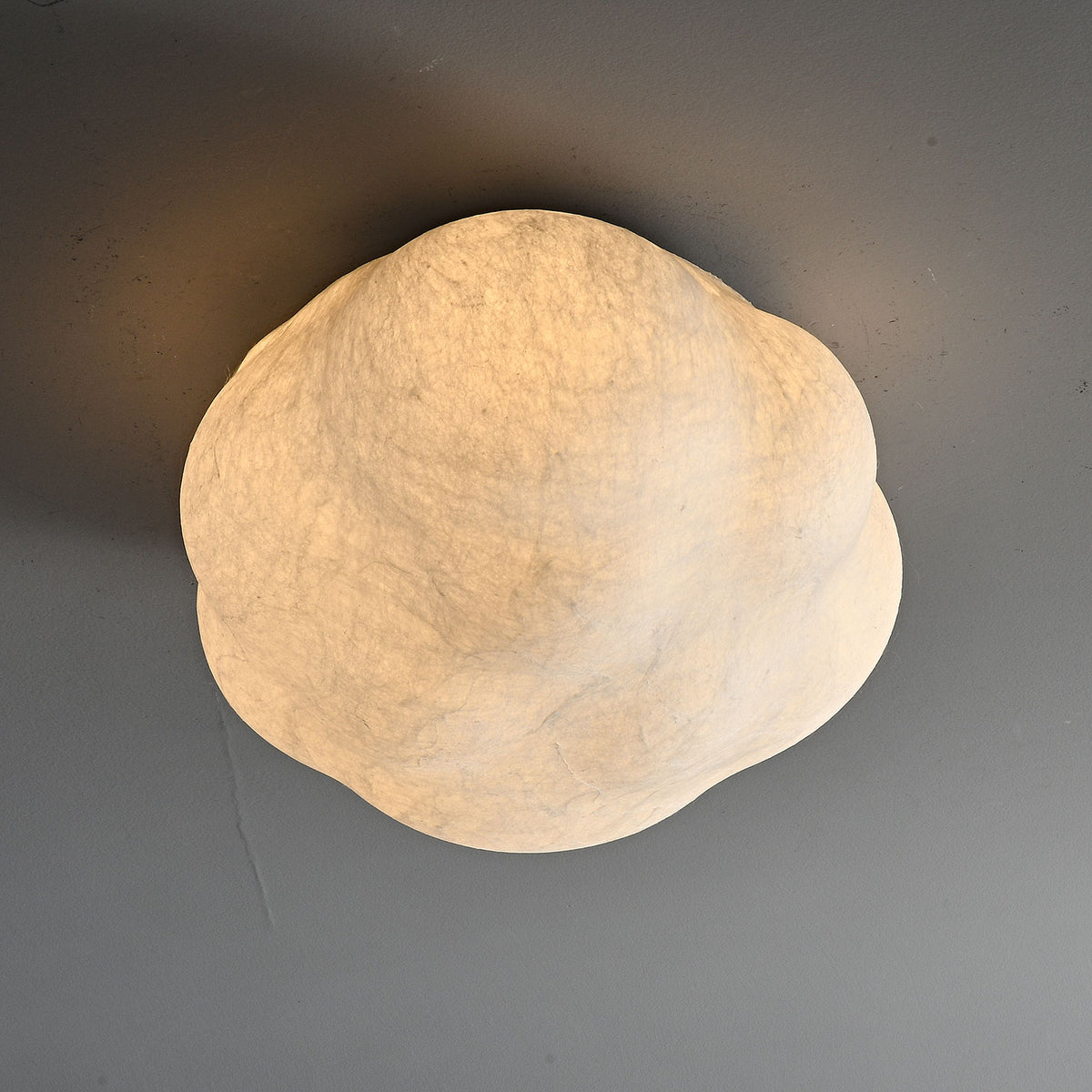Cecily Organic Flush Mount Ceiling Light