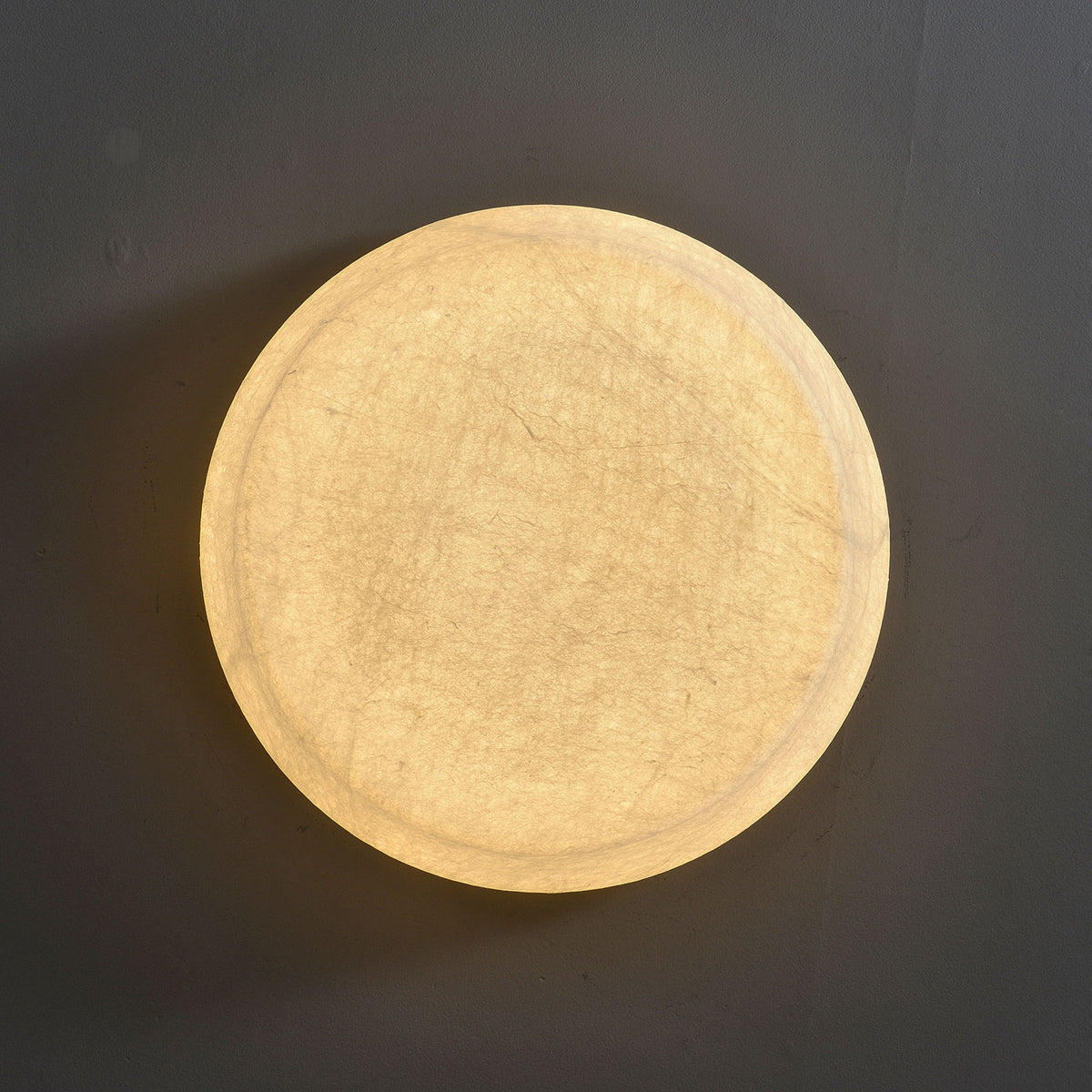 Cecily Organic Flush Mount Ceiling Light