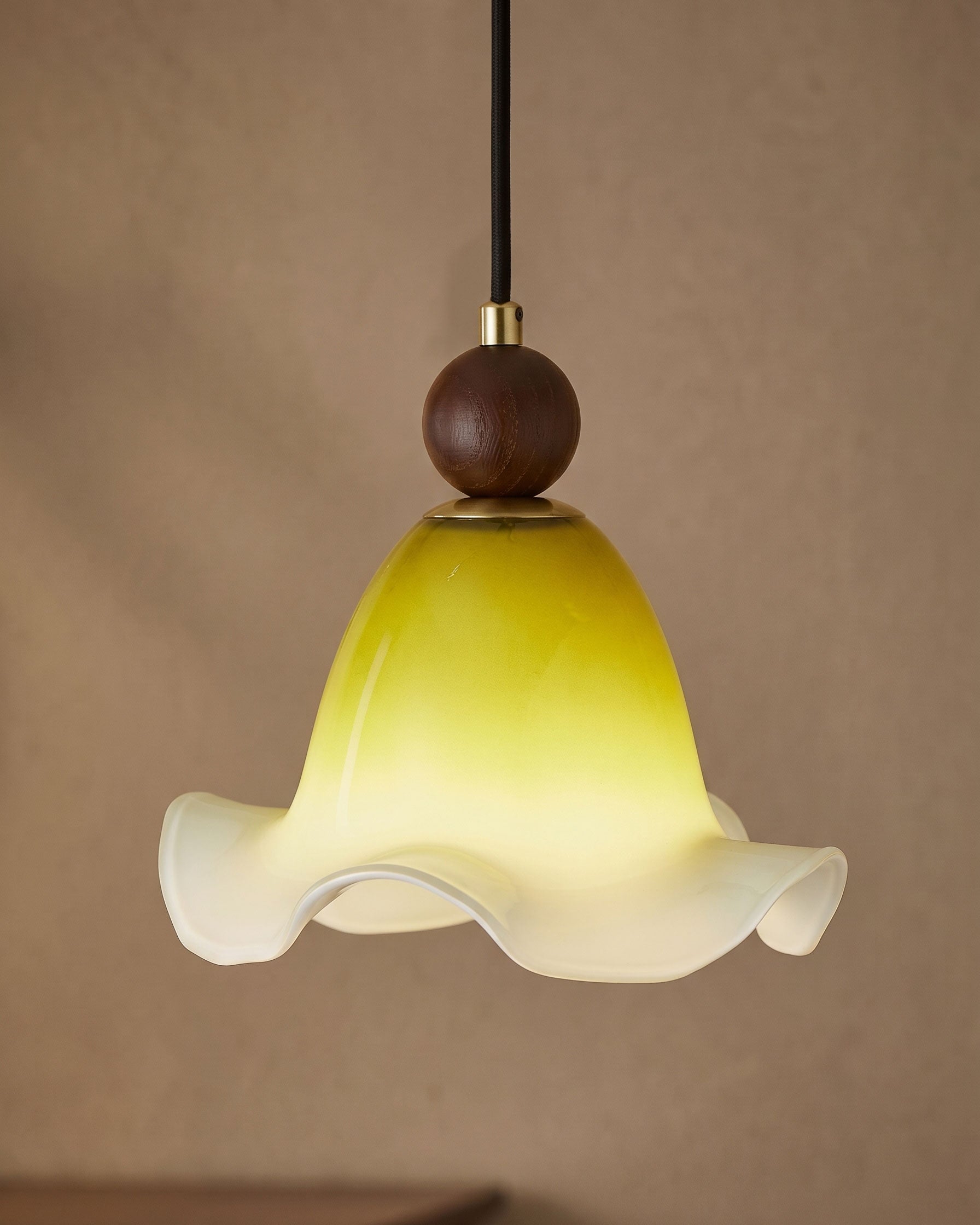 Elodie Ombre Pendant Light