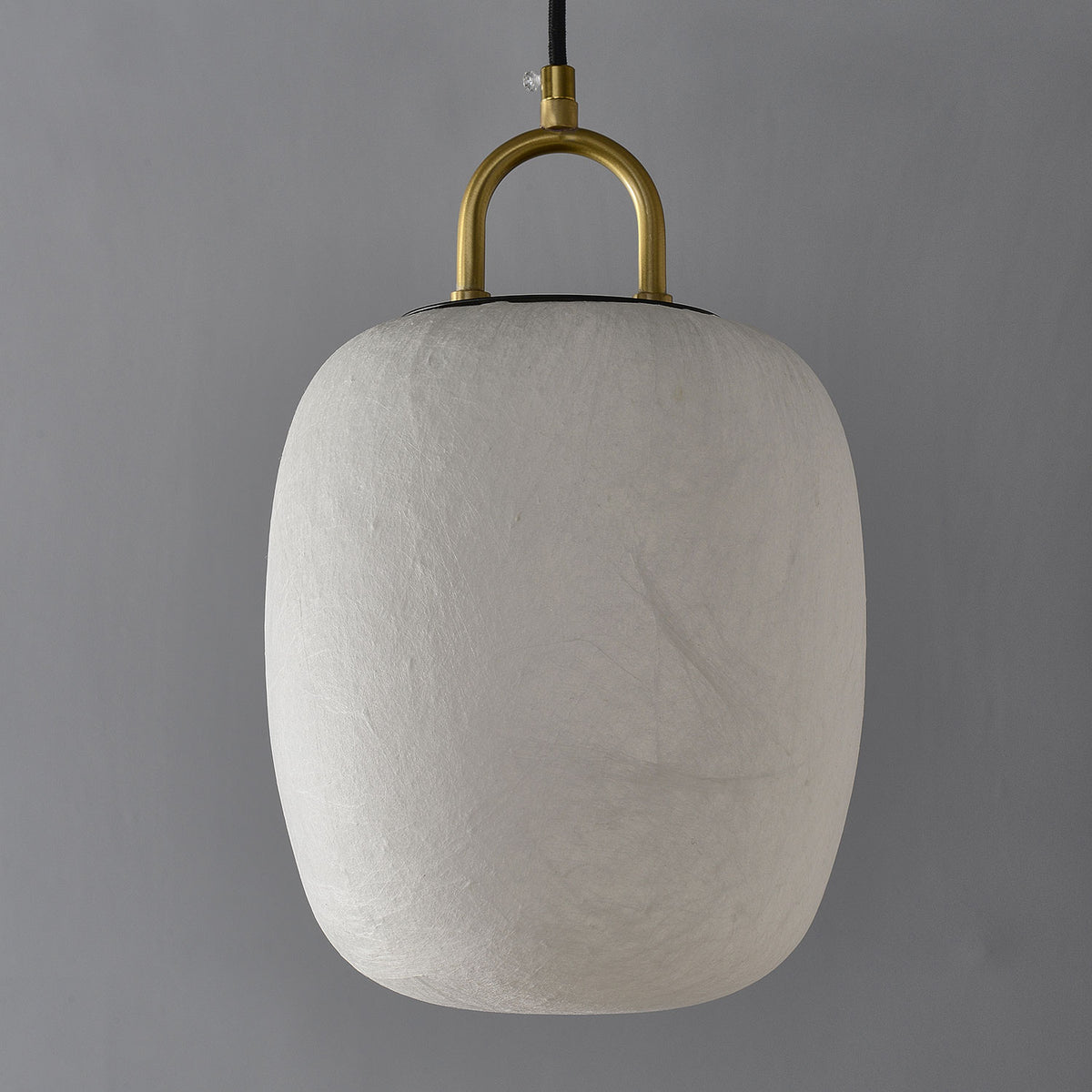 Evelisse Silk Pendant Light