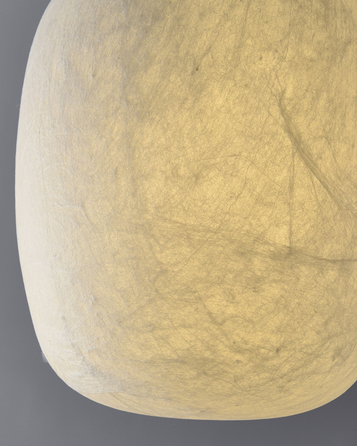 Evelisse Silk Pendant Light