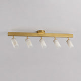 5 heads L 120cm x H 22cm / L 47.2″ x H 8.7″