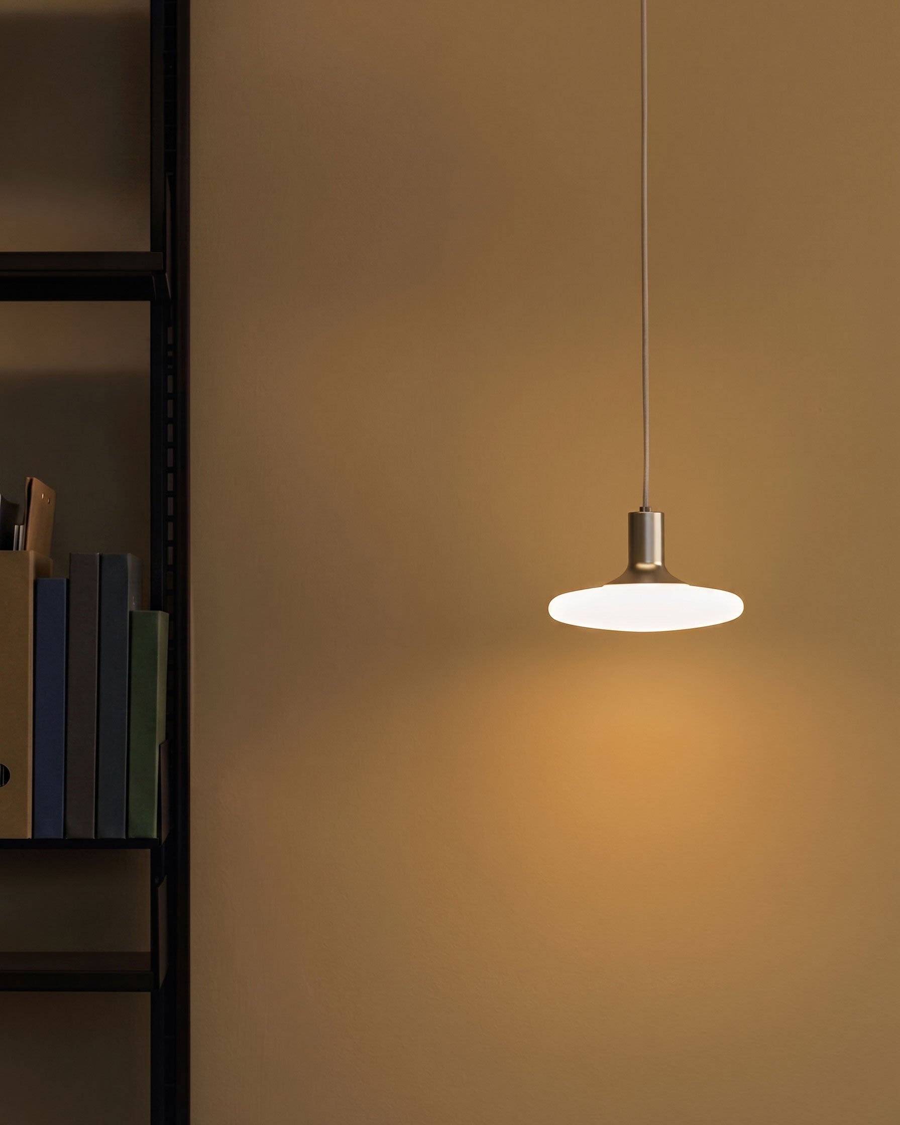 Lorcan Matte Pendant Light