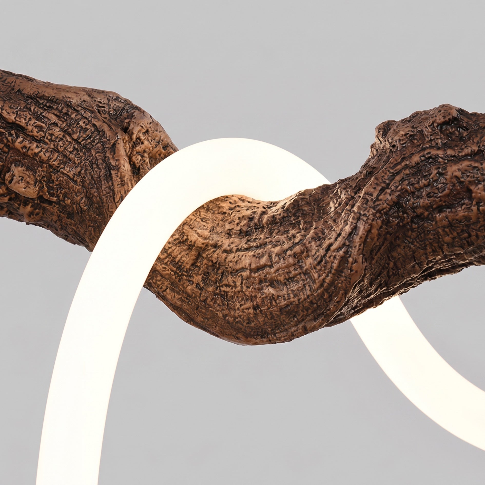 Thaddeus Vine Pendant Light
