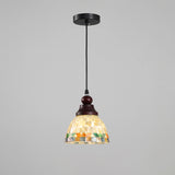 Model C Walnut color & Colorful Shells