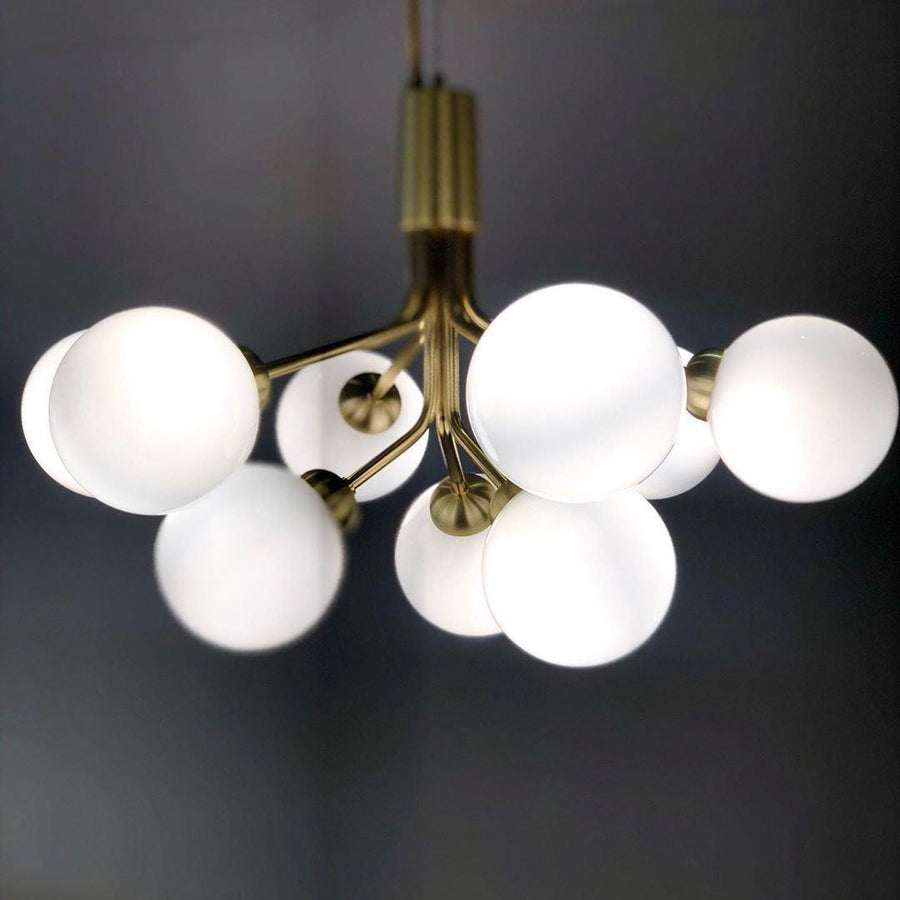 Apiales Chandeliers – detail 5