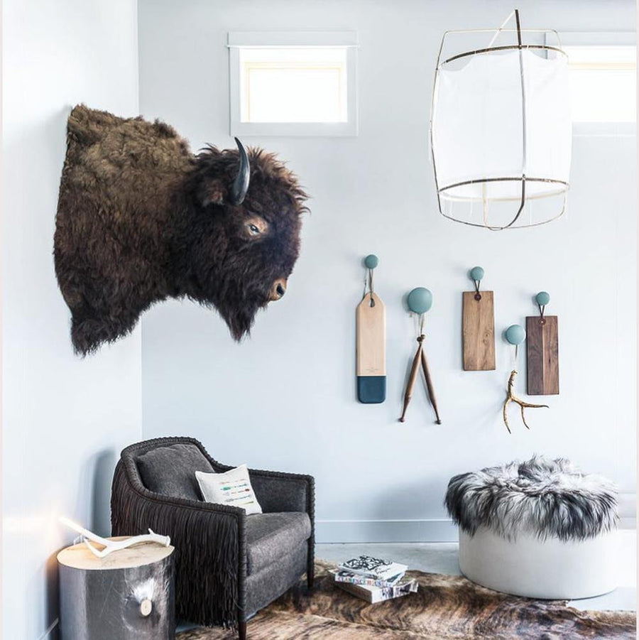 Ay illuminate Pendant Light – detail 4