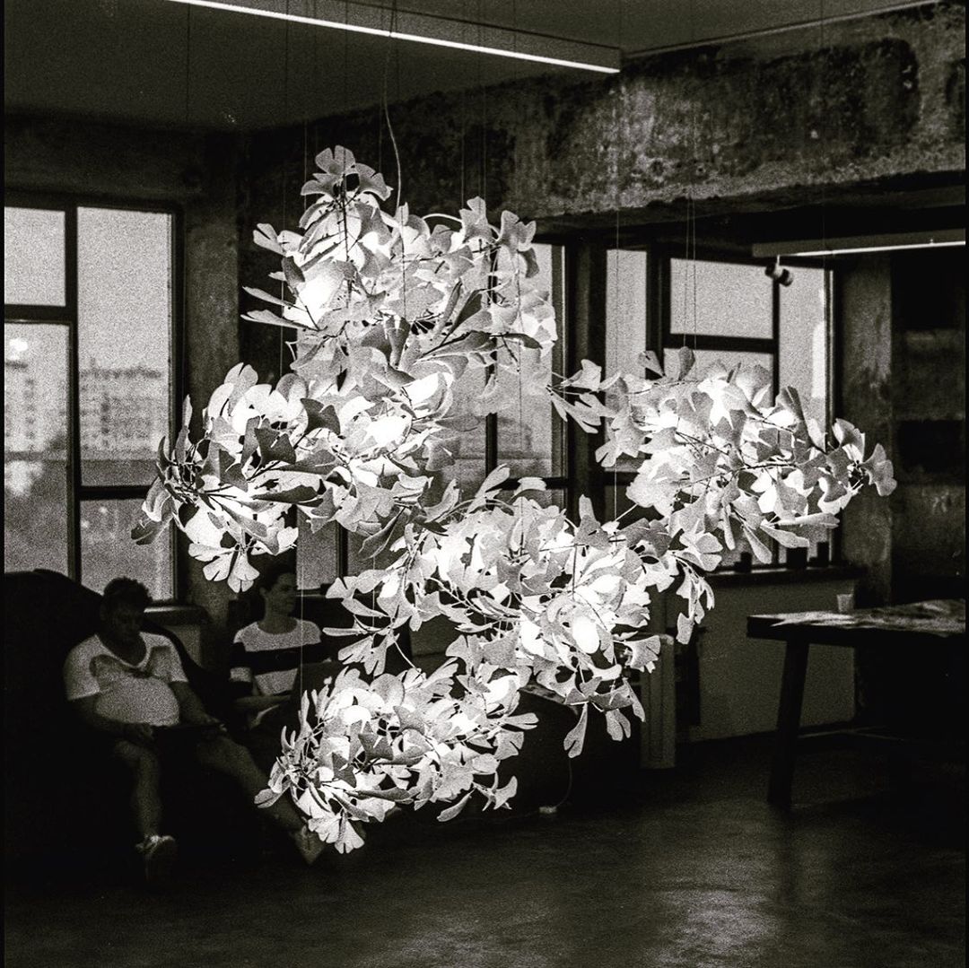 Gingko Chandelier F