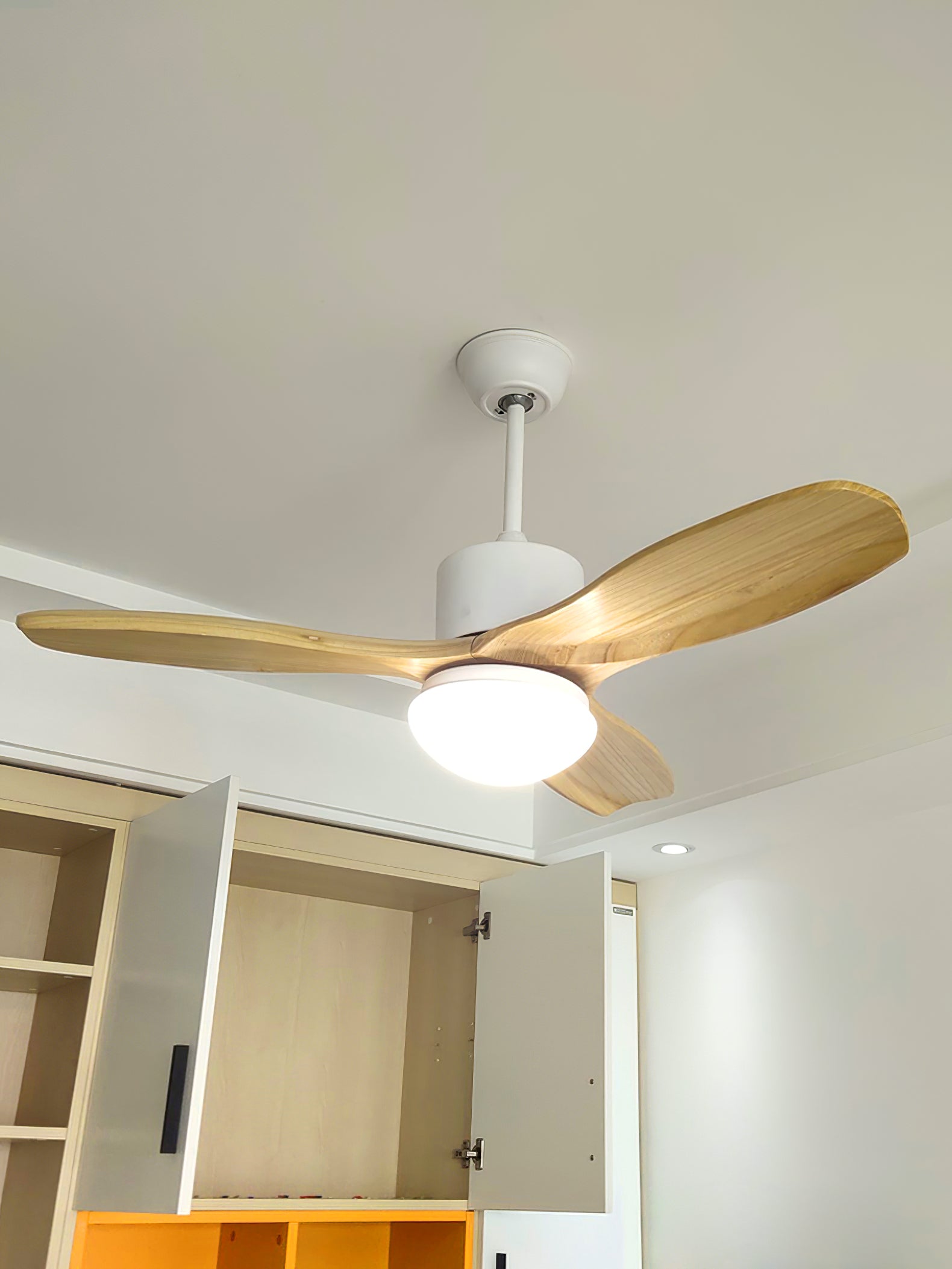 Luminaire de ventilateur de plafond Harborough 3