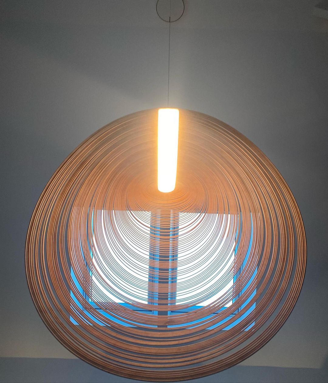 Art Float Pendant Lamp