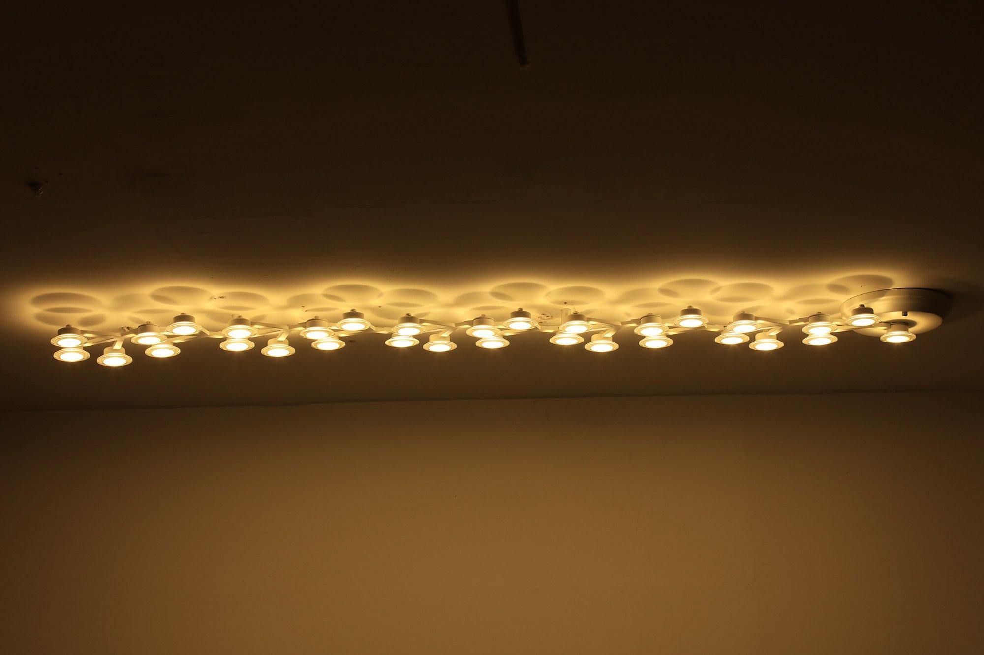 LED net Ceiling Wall Lamp