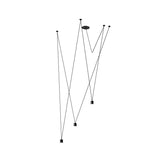 4 Heads size: Dia 5cm x H 6cm / ∅ 2″ x H 2.4″