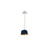 Blue gold