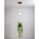 Model B Dia 22cm x H 190cm / ∅ 8.7″ x H 74.8″