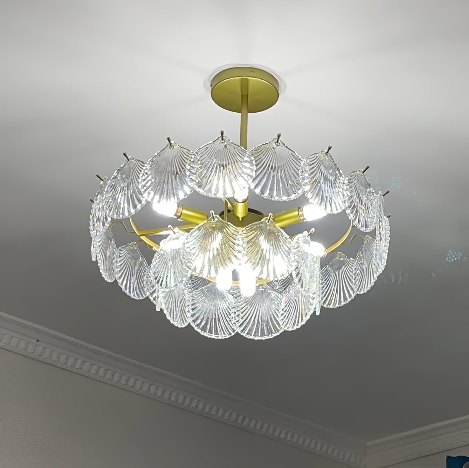 Shell Glass chandelier