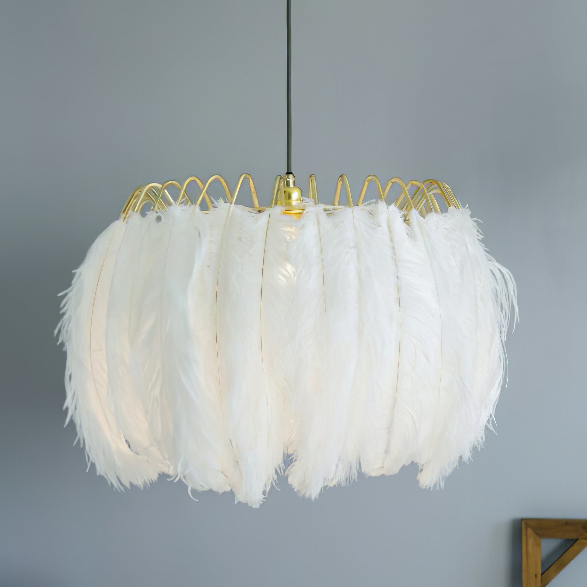 Feather Pendant Lamp